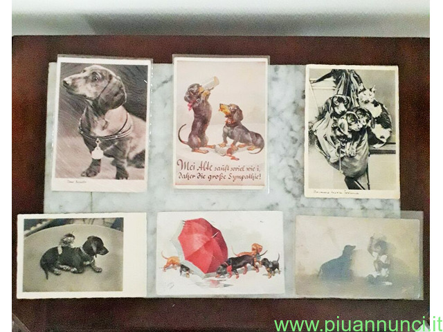 Mini collezione Cani  Bassotti cartoline d'epoca n - 1