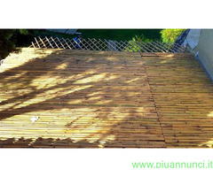 Canne di bambù  bambu diametro da 1 a 10 cm. - 1