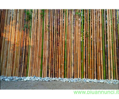 Canne di bambù  bambu diametro da 1 a 10 cm. - 2