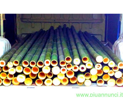 Canne di bambù  bambu diametro da 1 a 10 cm. - 4