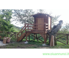 Casetta in legno per  rimessa attrezzi - 2