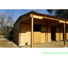 Box in legno per cavalli - 2