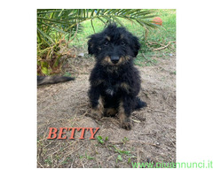 In regalo UNA MAMMA PER BETTY - 1
