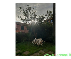 Affitto appartamento ideale pervacanza al mare mq65 numero localidue - 1