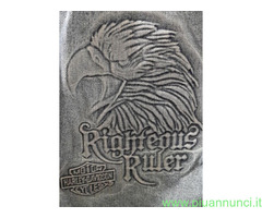 Giubbetto vintage Harley Davidson Righteous Ruler - 1