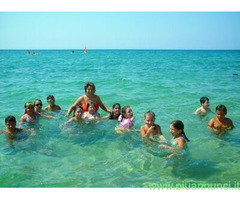 Affitto bilocale ideale pervacanza al mare mq50 numero localitre - 2