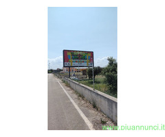 Affitto terreno coltivabile mq7300 Privato