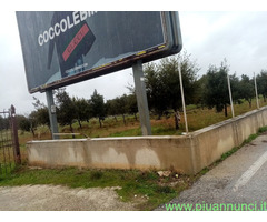Affitto terreno coltivabile mq7300 Privato