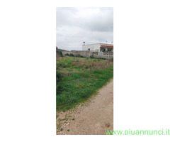 Terreno non edificabile mq1200 Privato