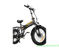 Fat Bike 36v elettrica