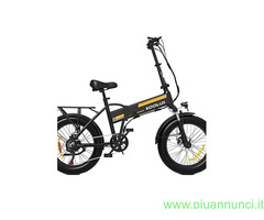 Fat Bike 36v elettrica