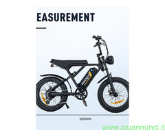 FAT BIKE BK 29 1000W 48V 15A