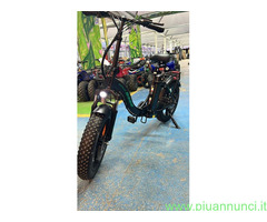 Bici elettrica 750W motore Brushless 48 v15ah