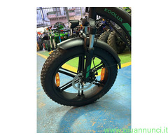 Bici elettrica 750W motore Brushless 48 v15ah