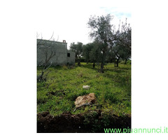 Affitto terreno coltivabile mq7500 Privato
