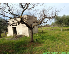 Affitto terreno edificabile mq7600 Privato