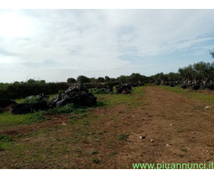 Affitto terreno edificabile mq7600 Privato