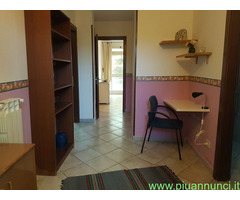 Affitto appartamento località Sasso mq50 numero localidue