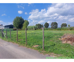 Terreno edificabile mq1000 Professionale