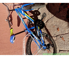 Bici ragazzo 20