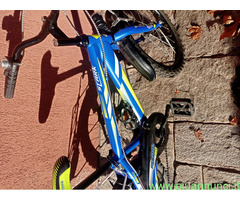 Bici ragazzo 20