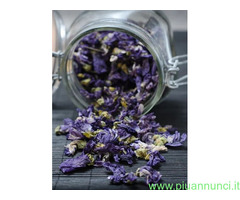 Malva