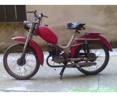 Usato  ITOM Junior cc50