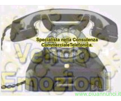 Commerciale con esperienza quadriennale cerco lavoro in settore qualsiasi
