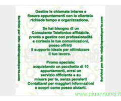 Commerciale con esperienza quadriennale cerco lavoro in settore qualsiasi