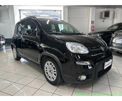 FIAT Panda 1.0 firefly s&s hybrid neopatentato - iva esp