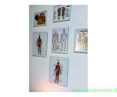 Studio Massaggi Wellness Dott Mario Orfila Messina