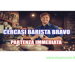 Operaio/a con esperienza annuale cerco lavoro in settore Risorse Umane