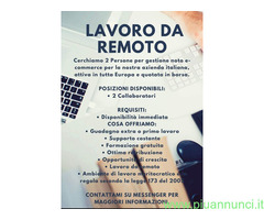 Imprenditore cerca Normale nel settore Customer Service con esperienza