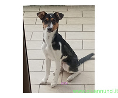 In regalo UNA MAMMA PER GEA