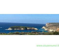 Camera inResidence  CAMPING LA ROCCIA prezzo per persona €24