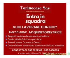 TORINOCASE Sas cerca ACQUISITORE/TRICE nel settore Immobiliare con esperienza