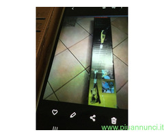 Vendo taglia rami manico lungo nuovo professionale