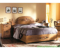 Gruppo abete decorato notte