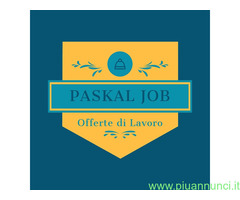 Impiegato/a con esperienza annuale cerco lavoro in settore Risorse Umane