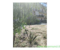 Villa bifamiliare mq110 Ristrutturato piano terra