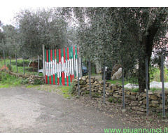 Terreno edificabile mq1070 Privato