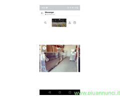 SAMSUNG CRYSTAL UHD 65 pollici 10 PEZZI 1000.00€