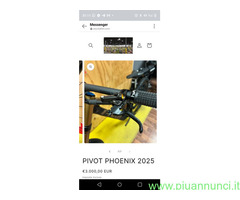 PIVOT PHOENIX 2025