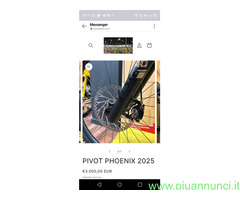 PIVOT PHOENIX 2025