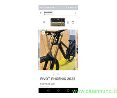 PIVOT PHOENIX 2025