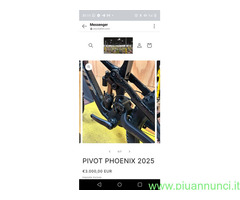 PIVOT PHOENIX 2025