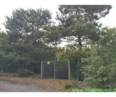 Rustico mq45 Da ristrutturare piano terra