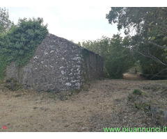 Rustico mq45 Da ristrutturare piano terra