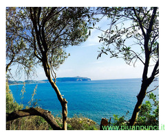 Affitto bilocale ideale pervacanza al mare mq25 numero localiuno