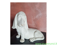 Cesare Villari   Basset  Hound cucciolo vintage  i
